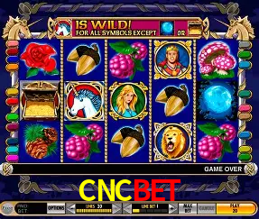 Roulette Table CNCBET