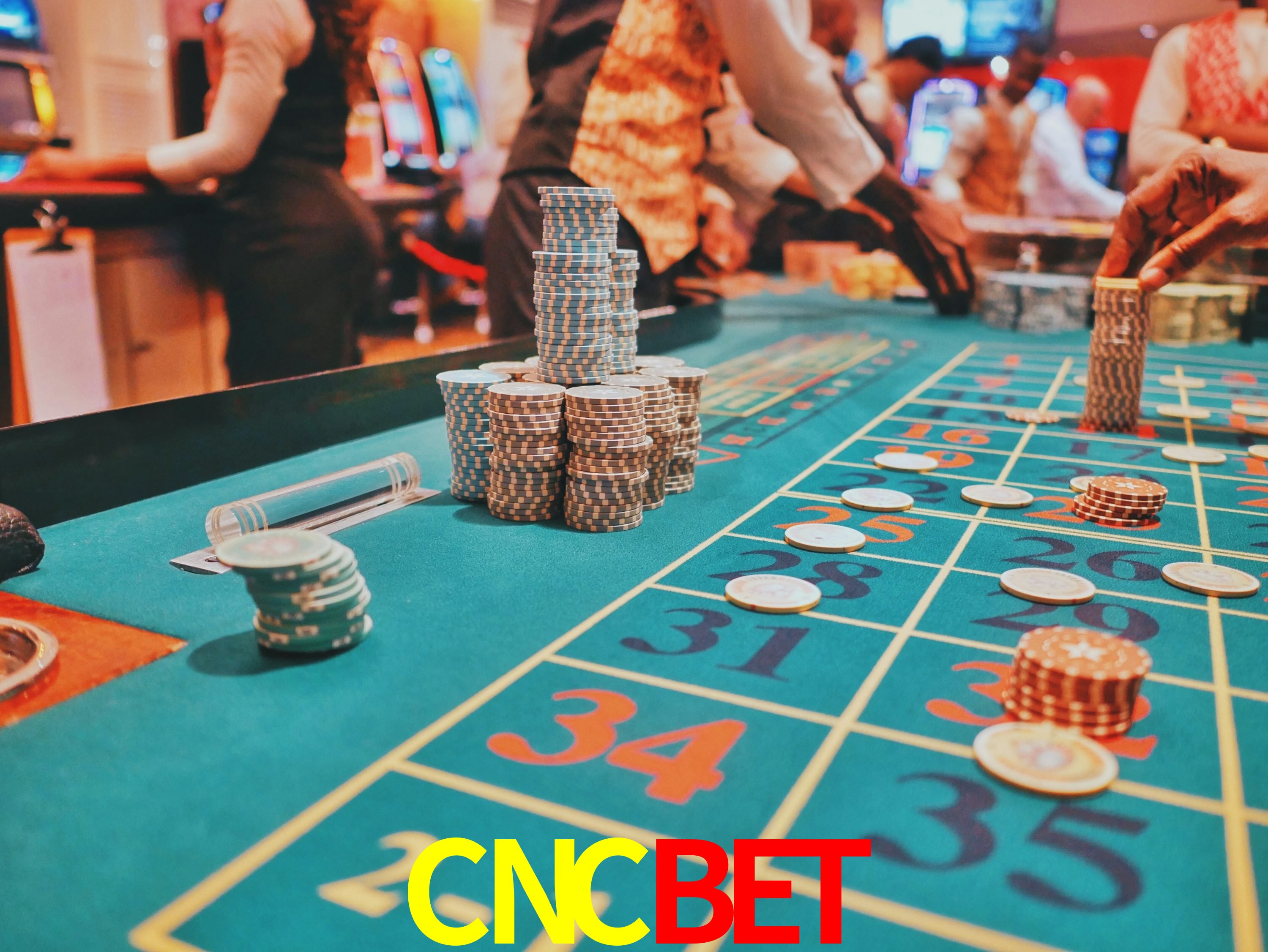 Sports Statistics CNCBET