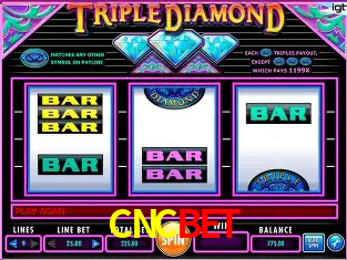 Descubra o Mundo do Cassino Online com CNCBET